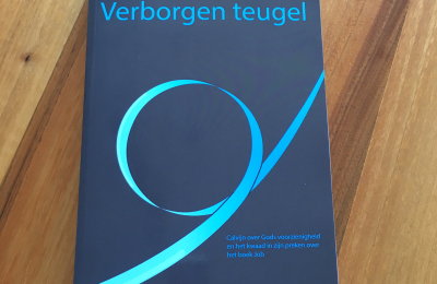 Verborgen teugel