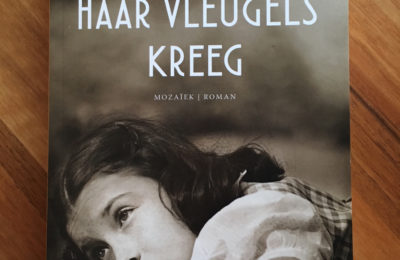 Hoe de bij haar vleugels kreeg